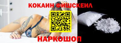 крисы Дубна