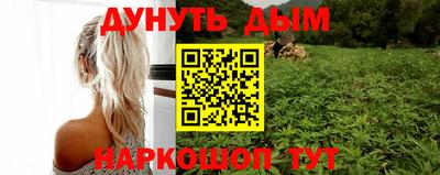 крисы Дубна