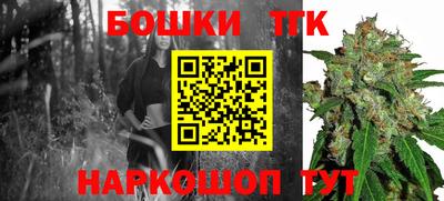 крисы Дубна